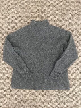 Everlane wool turtleneck sweater
